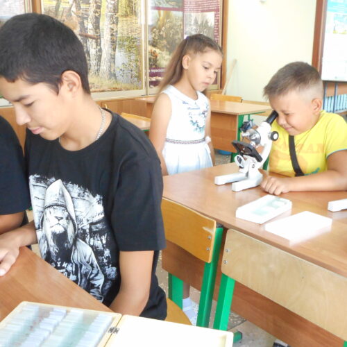 Занятия в детской экологической школе дворца пионеров город Стерлитамак