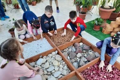 Проект «Сенсорный сад» для детей с ОВЗ